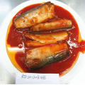 Canned Mackerel Fish In Tomato Sauce